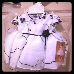 NWT Lida Infant Girl Dress 3-6 months